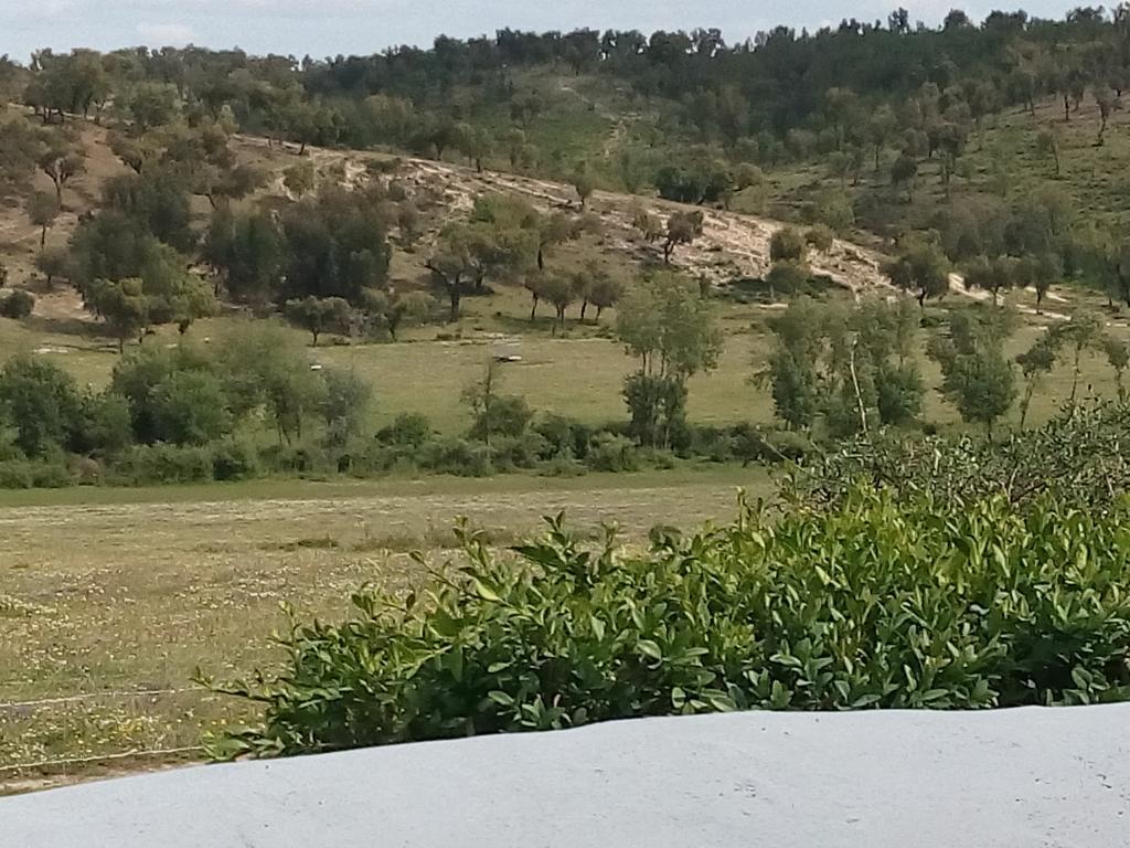 Gavião Herdade Da Maxuqueira מראה חיצוני תמונה