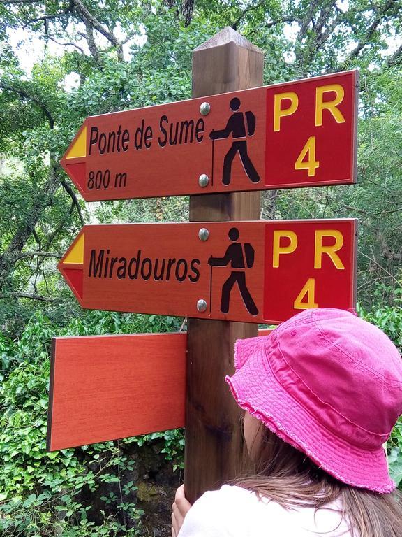 Gavião Herdade Da Maxuqueira מראה חיצוני תמונה